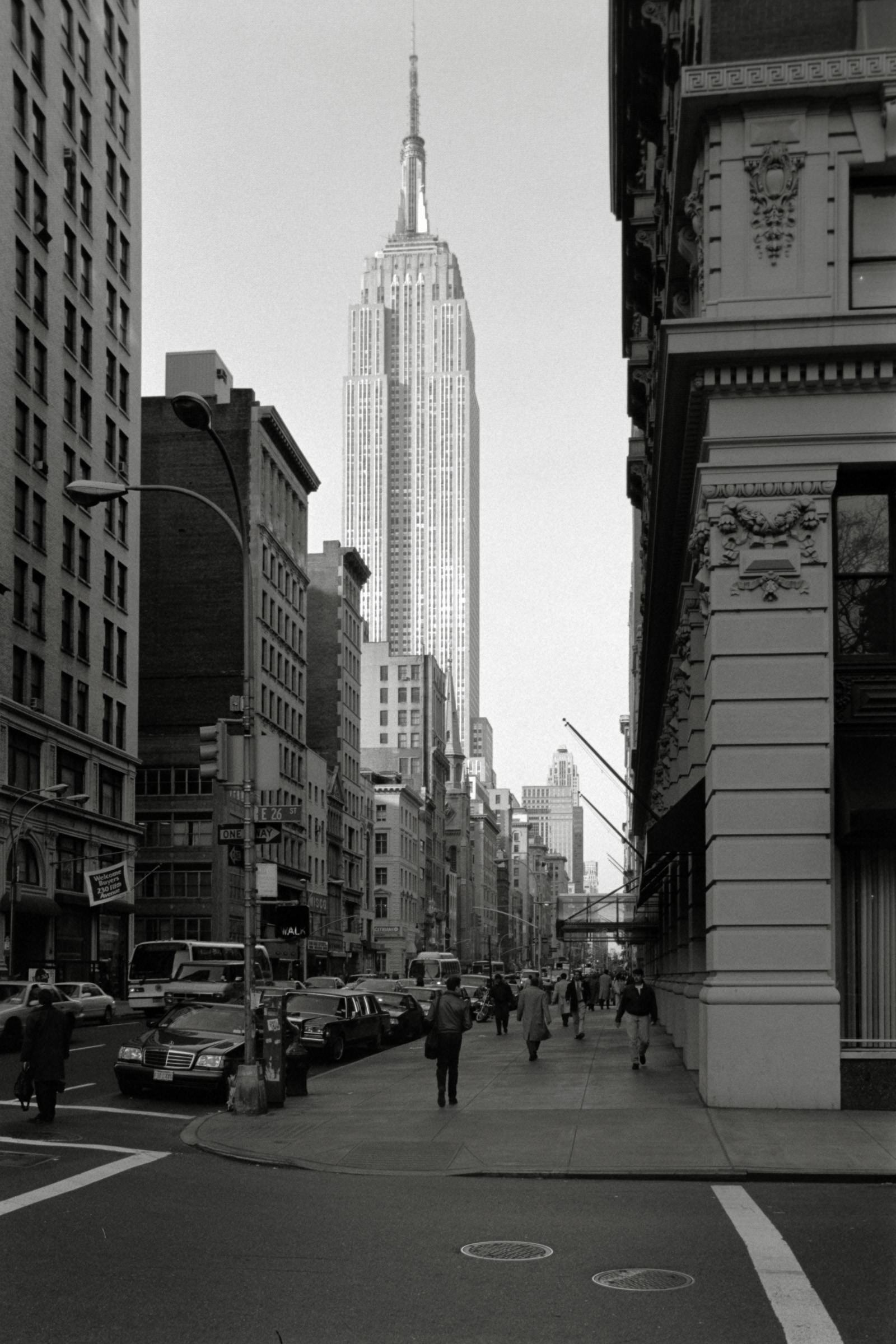 AHP F1995 04 008 sc240817 img30 NLP